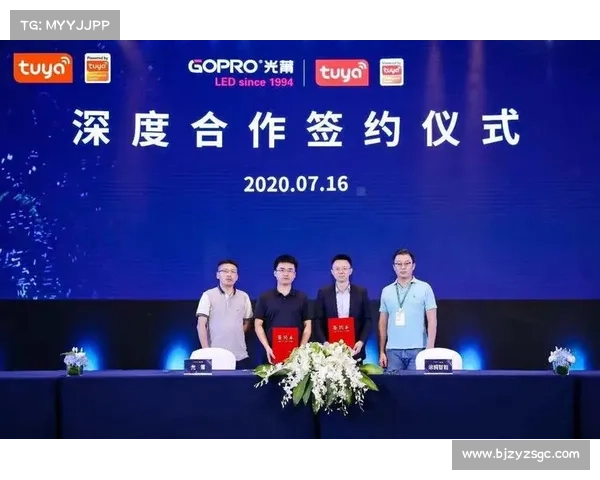 艾维娜如何通过跨界合作与科技创新推动问题解决的新路径 艾维娜如何通过跨界合作与科技创新推动问题解决的新路径