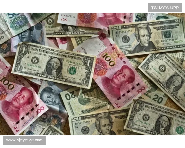 人民币原材料来源分析的五大关键因素及其对经济影响的深入探讨 人民币原材料来源分析的五大关键因素及其对经济影响的深入探讨