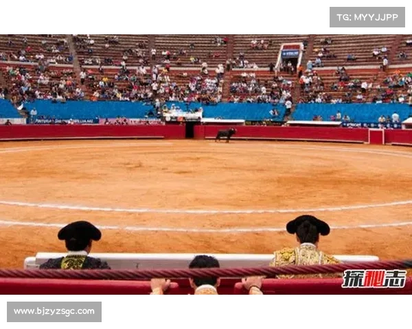 如何报名参加北美洲杯赛并顺利完成参赛流程的详细指南