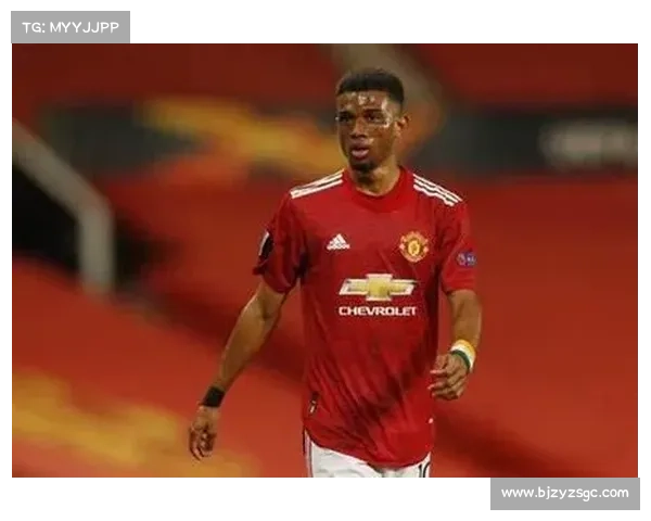 揭秘罗本在拜仁的真实水平与他在球队中的核心作用 揭秘罗本在拜仁的真实水平与他在球队中的核心作用