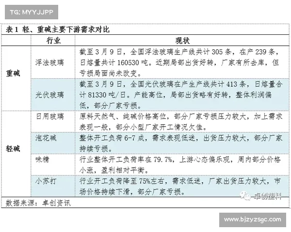 如何深入分析科贝报道中的奖金分配细节及其背后的影响因素